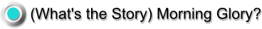 0_Whats the story.gif (5268 bytes)